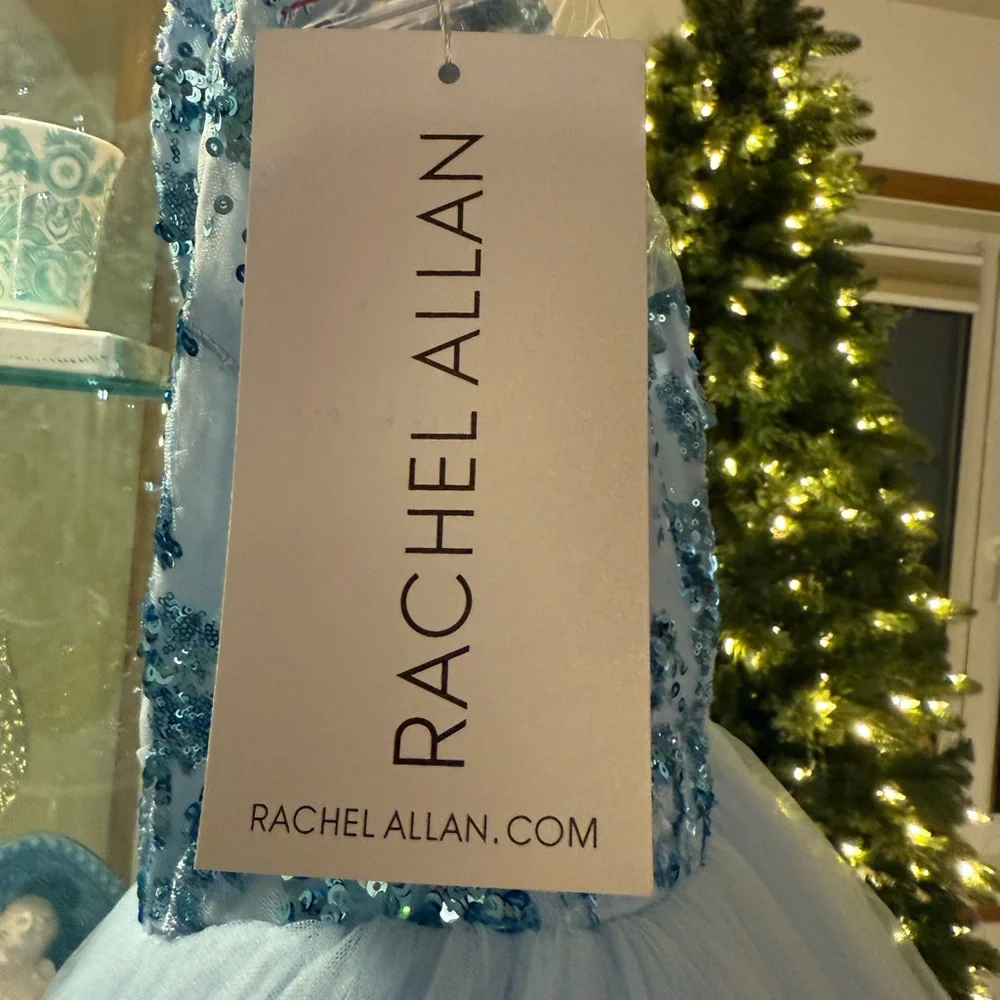 Pageant / Prom Gown by Rachel Allan size 6 - Picture 9 of 13